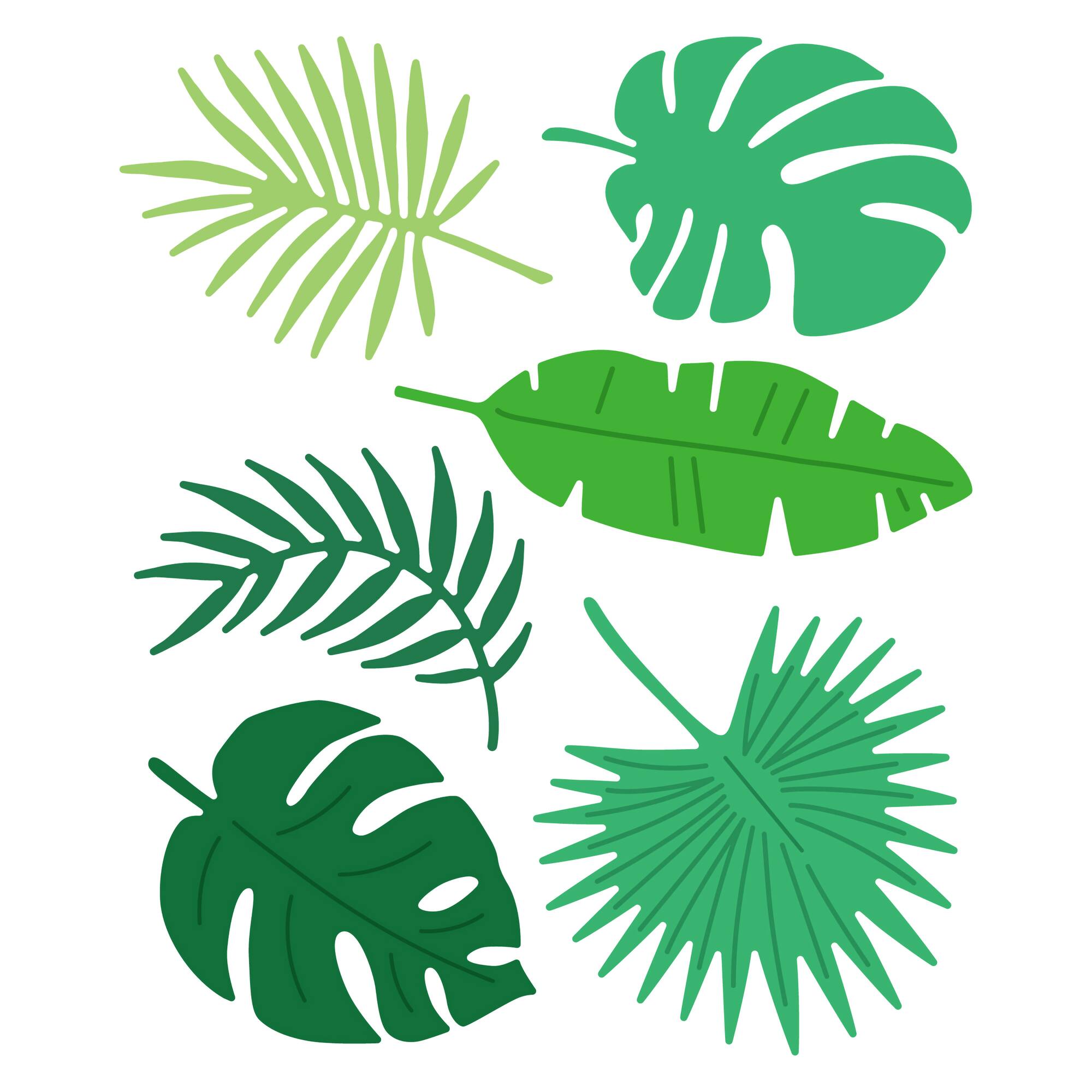 6 Pack: Tropical Leaves Cutting Die Set by Recollections™